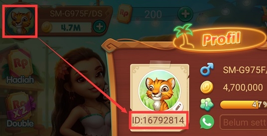 how to find higgs domino user id