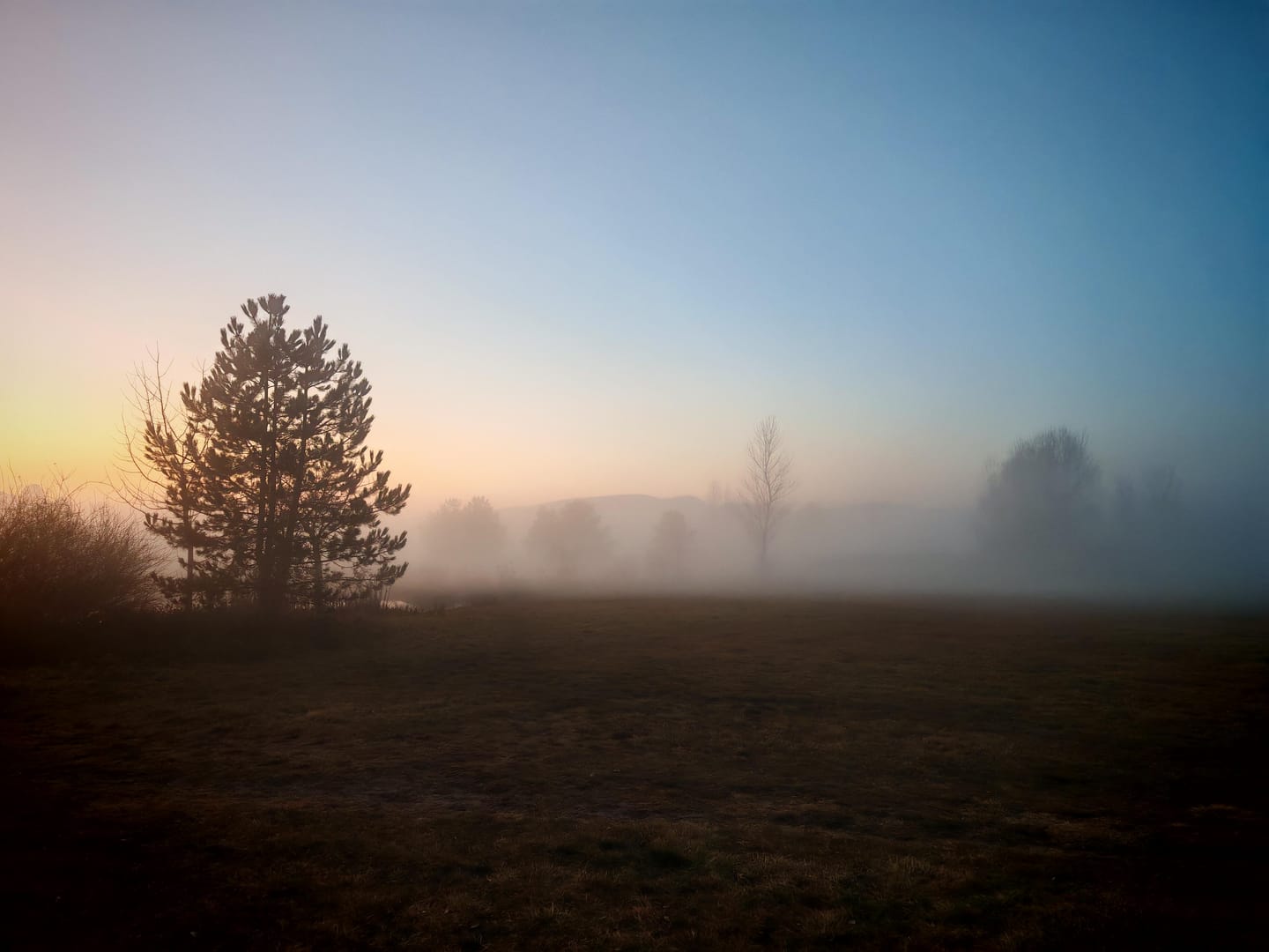 王者荣耀中路游走职业迷雾玩法的截图