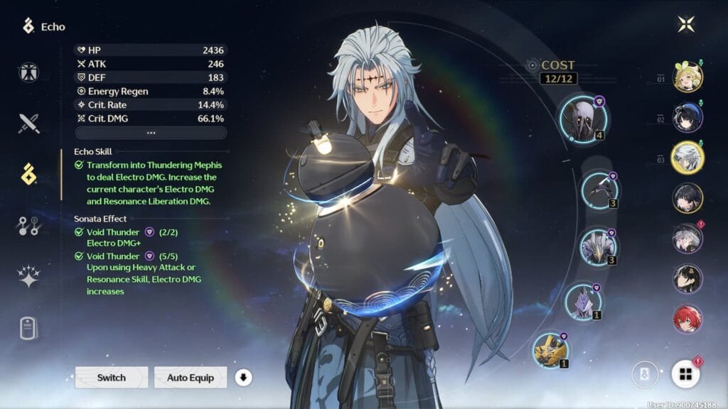 Comparison of early, mid, and endgame Echo builds in Wuthering Waves