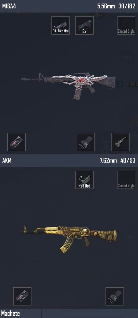 PUBG Mobile M416 艾伦格激进型配装