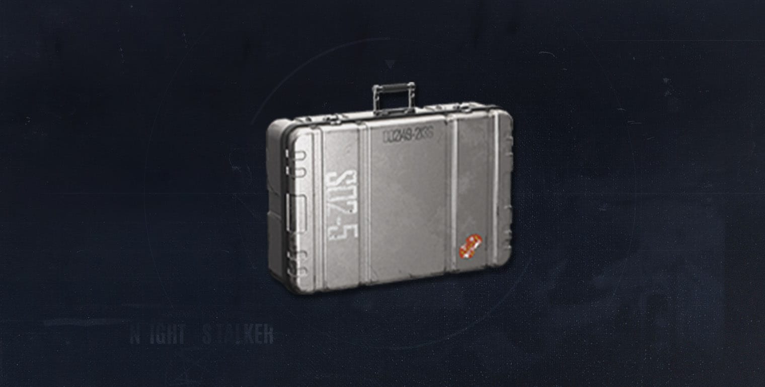 暗区突围防弹保险箱 2x2 仓库界面