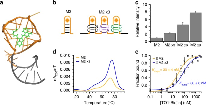 Mango Live 스트리밍에서 CPU 소프트웨어 인코딩과 GPU 하드웨어 인코딩의 지연 시간 비교
