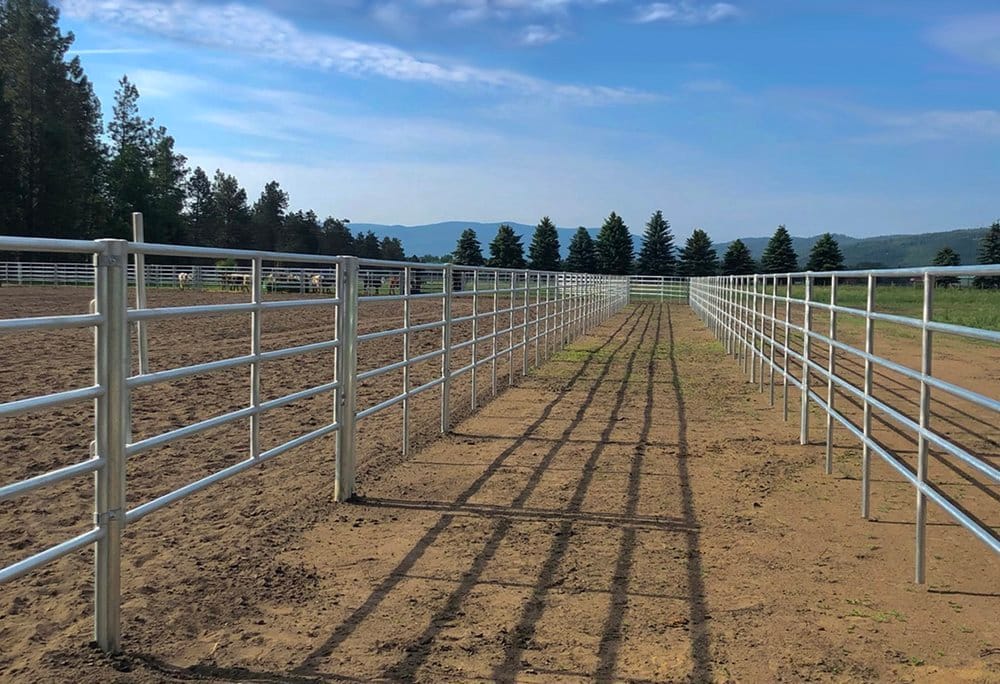 मैंगो लाइव ऐप नोबल प्रिविलेज पैनल