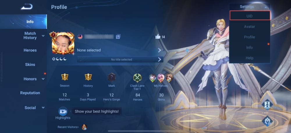 Honor of Kings player profile UID interface screenshot