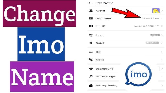 IMO app profile screen highlighting the 7-10 digit numeric IMO ID location.