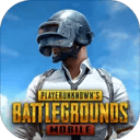 PUBG Mobile UC (Global)