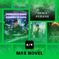MaxNovel Koin