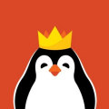 Kinguin Gift Card PL 500 PLN