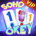 Soho 101 Okey 147000000 Gold Coin