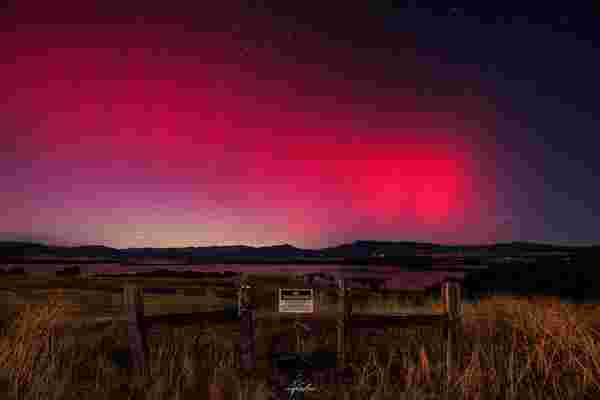 Tango Live PK Battle: Best Punishment Games Guide