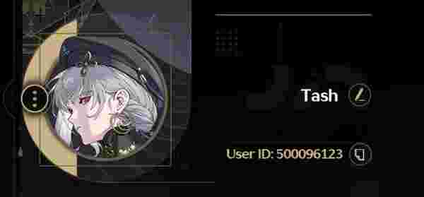 명조: 워더링 웨이브 충전: 2주년 기념 루나이트 2배 충전 가이드