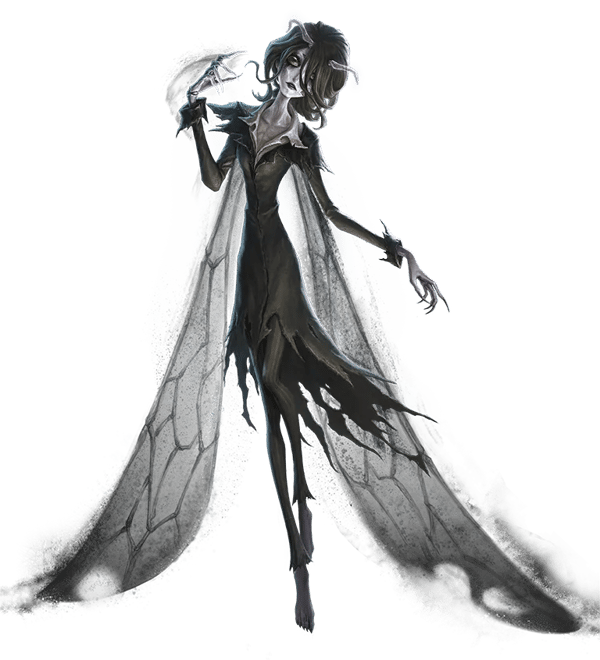 Identity V S40 秘宝：女王蜂 180天井ガイド 2025年11月27日